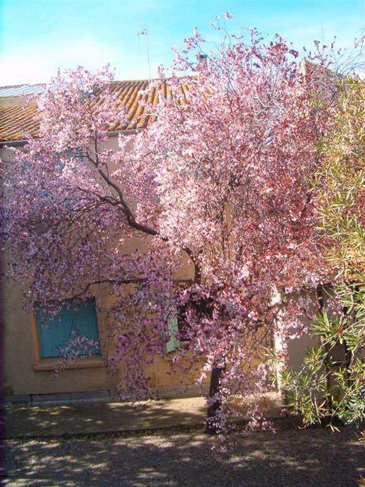 Cit'Hotel Hotel Las Cigalas Villeneuve-lès-Béziers Dış mekan fotoğraf