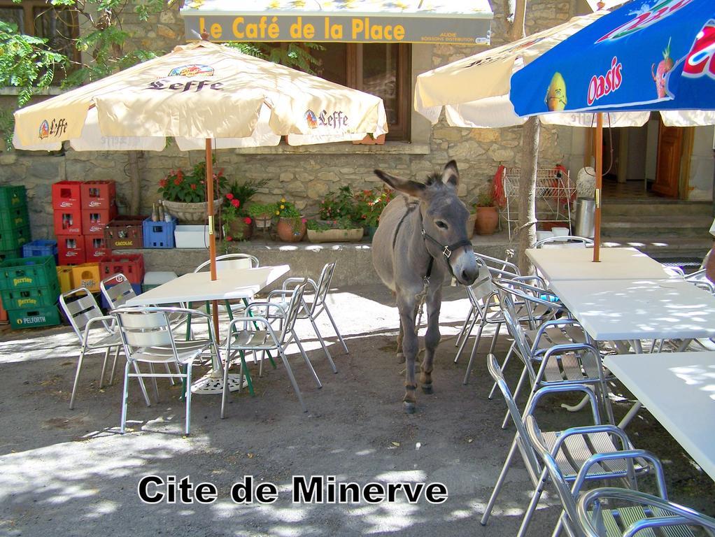 Hotel Las Cigalas Villeneuve-lès-Béziers Dış mekan fotoğraf